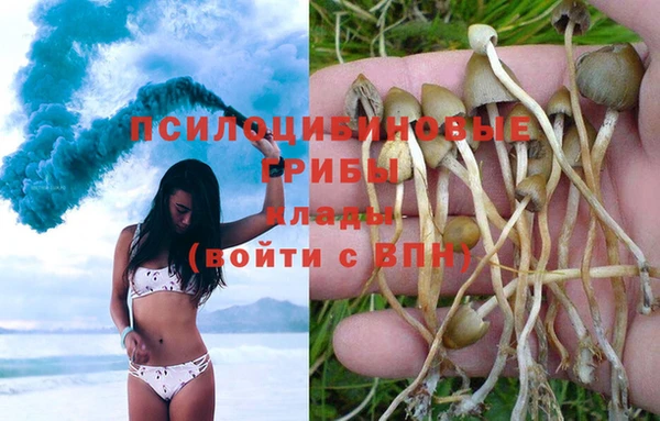 сатива Баксан