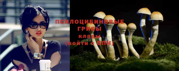 сатива Баксан