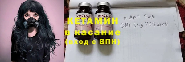 сатива Баксан
