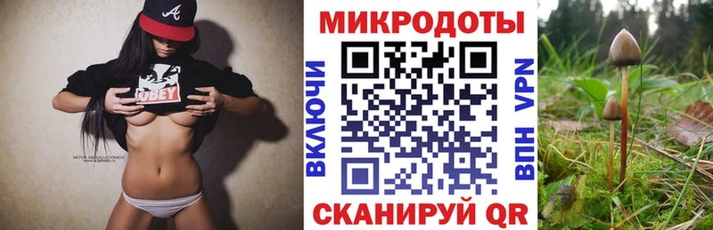 Галлюциногенные грибы ЛСД  omg маркетплейс  Гаврилов-Ям 