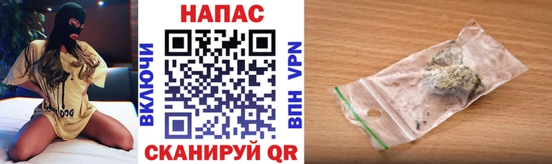 как найти наркотики  Гаврилов-Ям  блэк спрут ссылки  Конопля конопля 